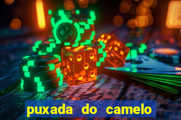 puxada do camelo no jogo do bicho